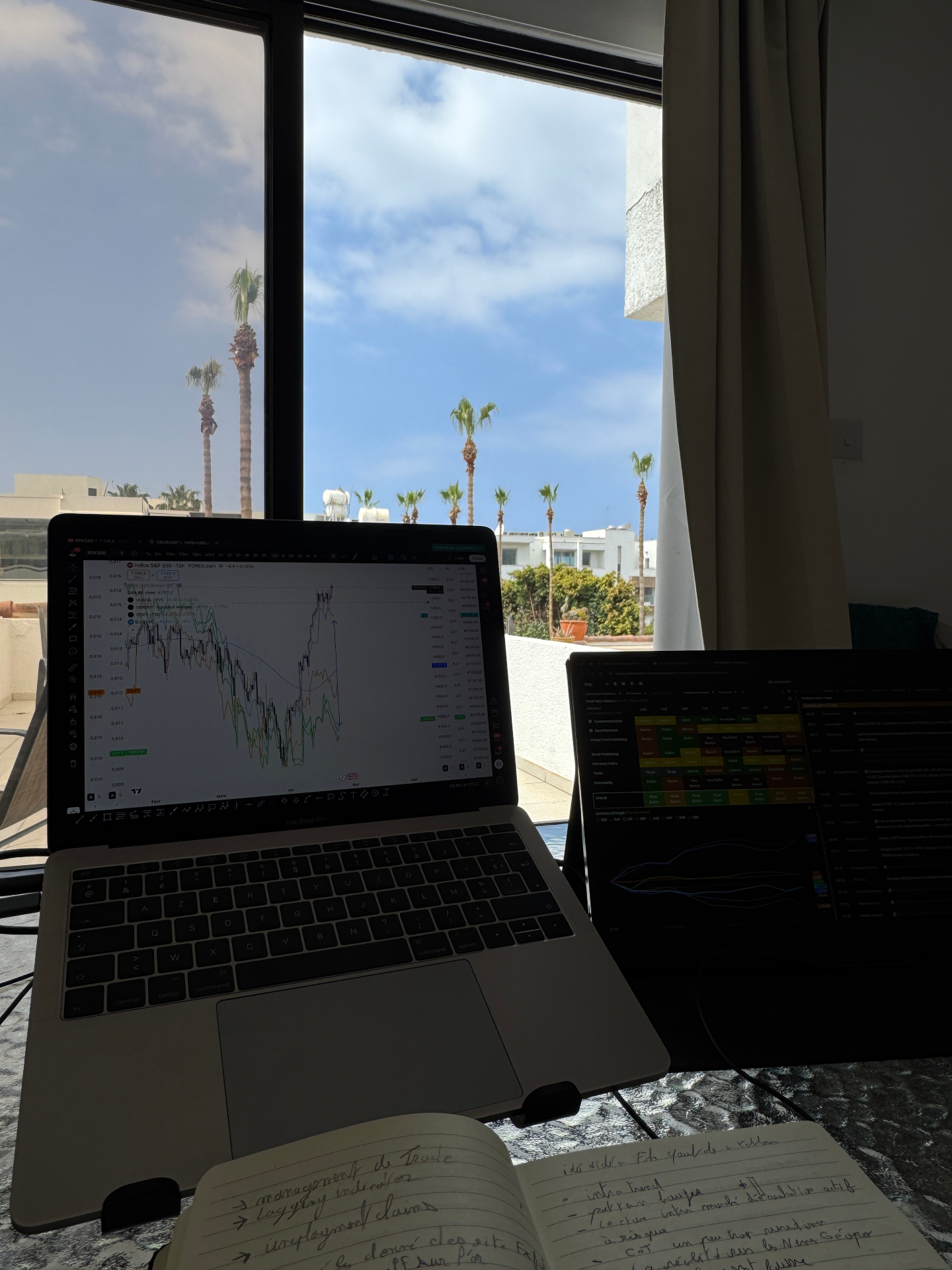 Setup de trading face aux palmiers